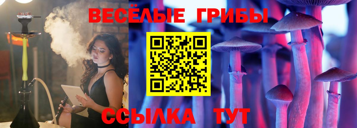 где можно купить наркотик  Псилоцибиновые грибы Cubensis  Галлюциногенные грибы GOLDEN TEACHER  Вход с VPN  Ярцево 